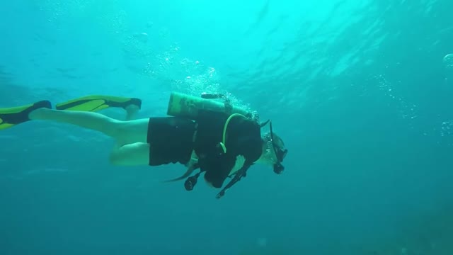 Lartington and Constellation Wreck dives in Bermuda