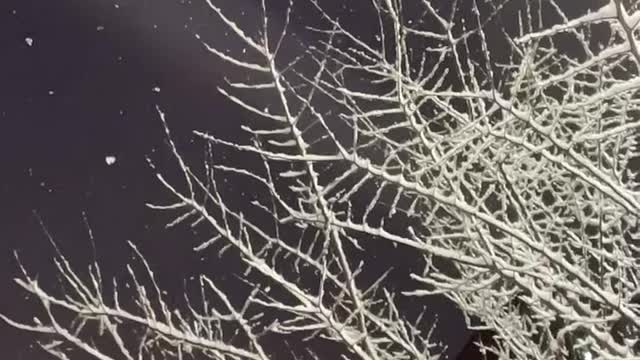 Snowing at night