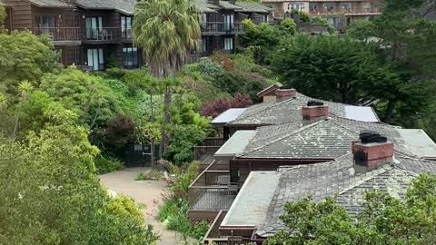 Carmel California Views 🌊 🏖 🏝 🌞