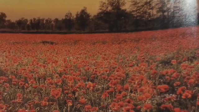 Dollar General In N.C. on 2-19-22