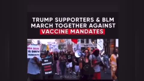 They don’t want the truth, forget about handling it.