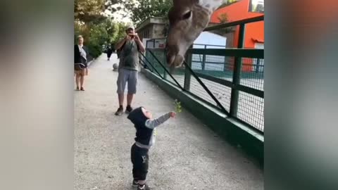 Animals love children