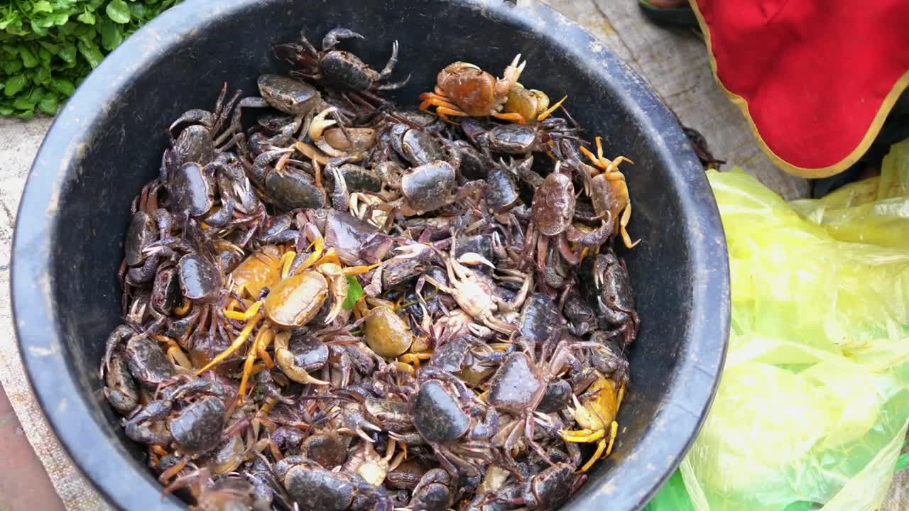 Crabs in Bucket For Sale On Local Market