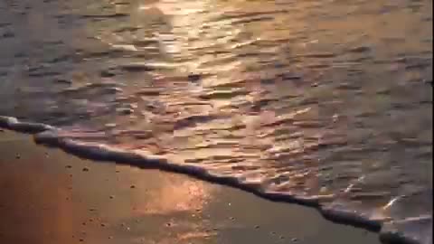 Sea Beach lifestyle