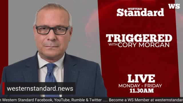 Triggered: Crime and drug ridden transit nightmare continues