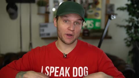 Dog Training