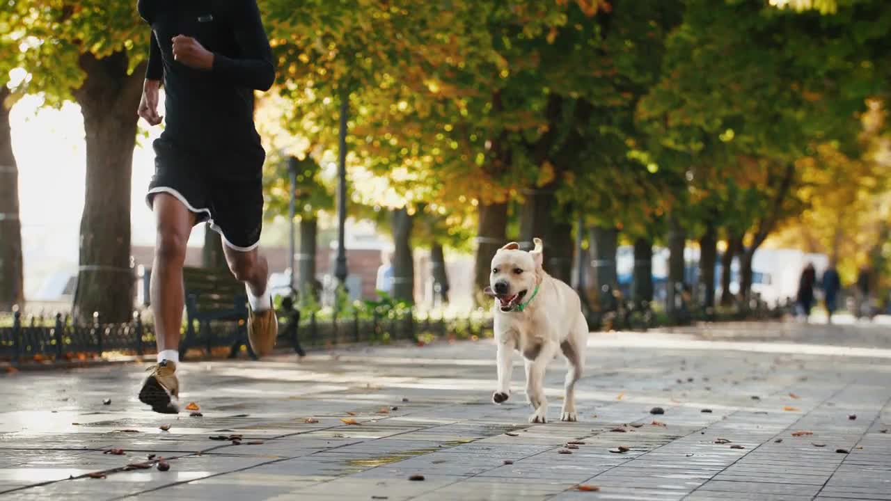 Young black man running with his white labrador dog through the park in the city at beautiful autumn