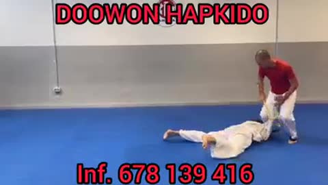 Hapkido