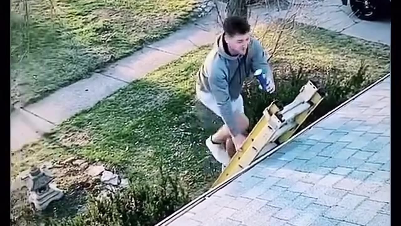 Neighbour enjoy drinking on friends roof...its funny and entertaining 😂😂😂