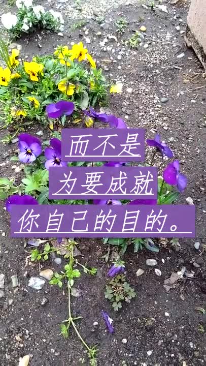 谁是你的主？(warningthepeople妻子)Who is Your Master