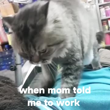 When mom told me to work or else no food will be given :D