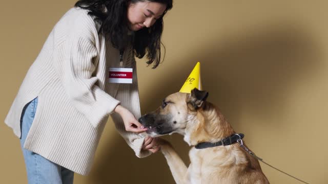 Emotional relation between woman and her dog