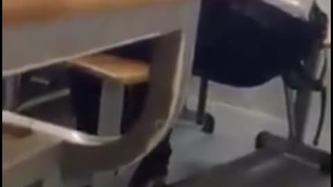 Funny in class