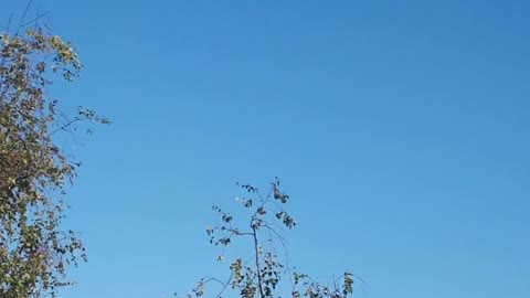 Himmel in Berlin am 12. Juli 2022 um 20:12 Uhr