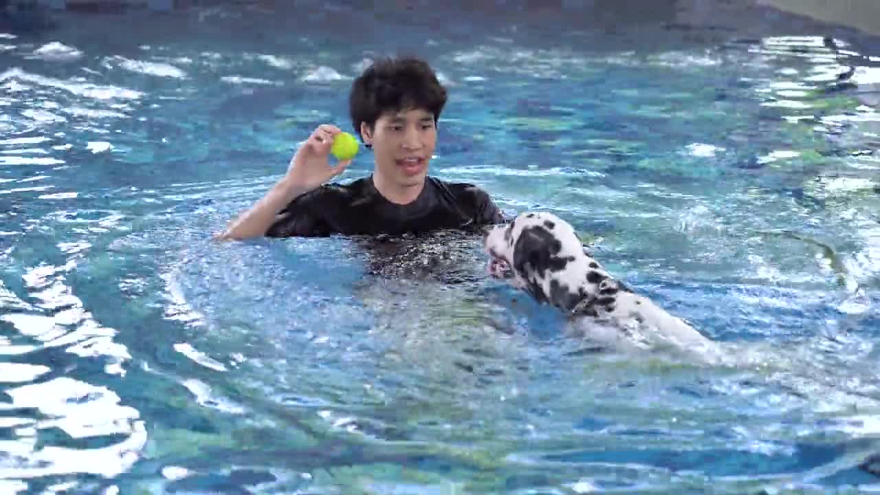 Young Man Playing with His Dog in the Pool