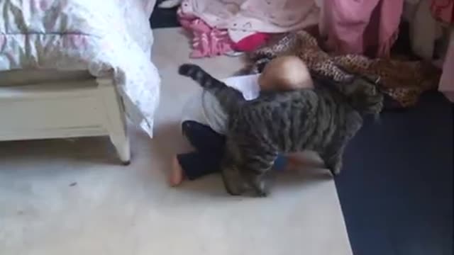 Baby boy play with cat