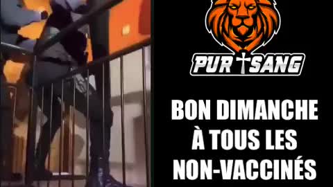 Restons calme et de bonne humeur dans ce monde de fou