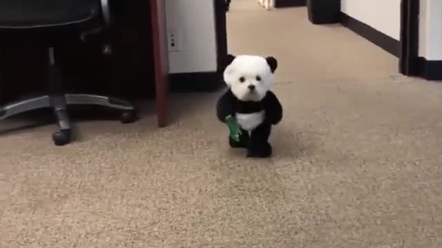 Pandamonium