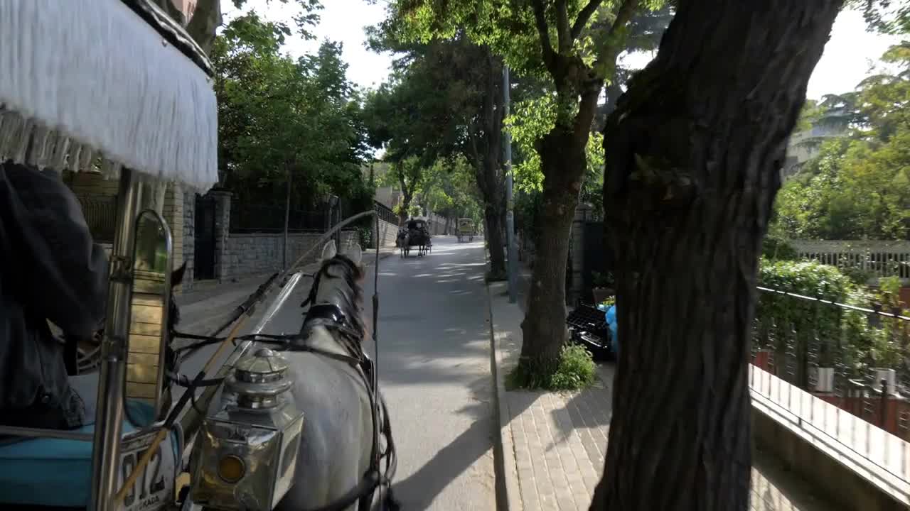 The horse drawn carriage is the main transport on Buyukada