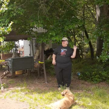 Intro Video With Doggie Entertainment