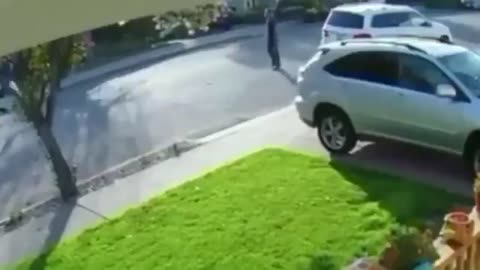 Queefefa Getting Smashed by a patriot