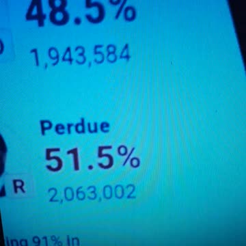 INTERNATIONAL WIDE ELECTION FRAUD VOTING MACHINE CRIME, GEORGIA RUNOFF SHAM ELECTION CRIME 89