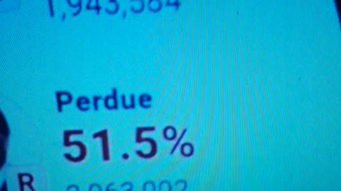 INTERNATIONAL WIDE ELECTION FRAUD VOTING MACHINE CRIME, GEORGIA RUNOFF SHAM ELECTION CRIME 89