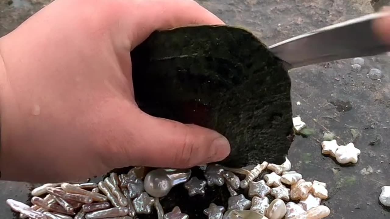 extracting pearls from oysters