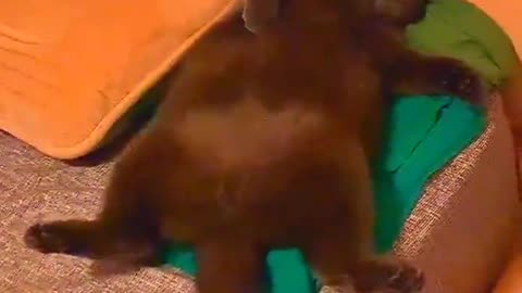 Come down! That's my bed and I want to hit it.