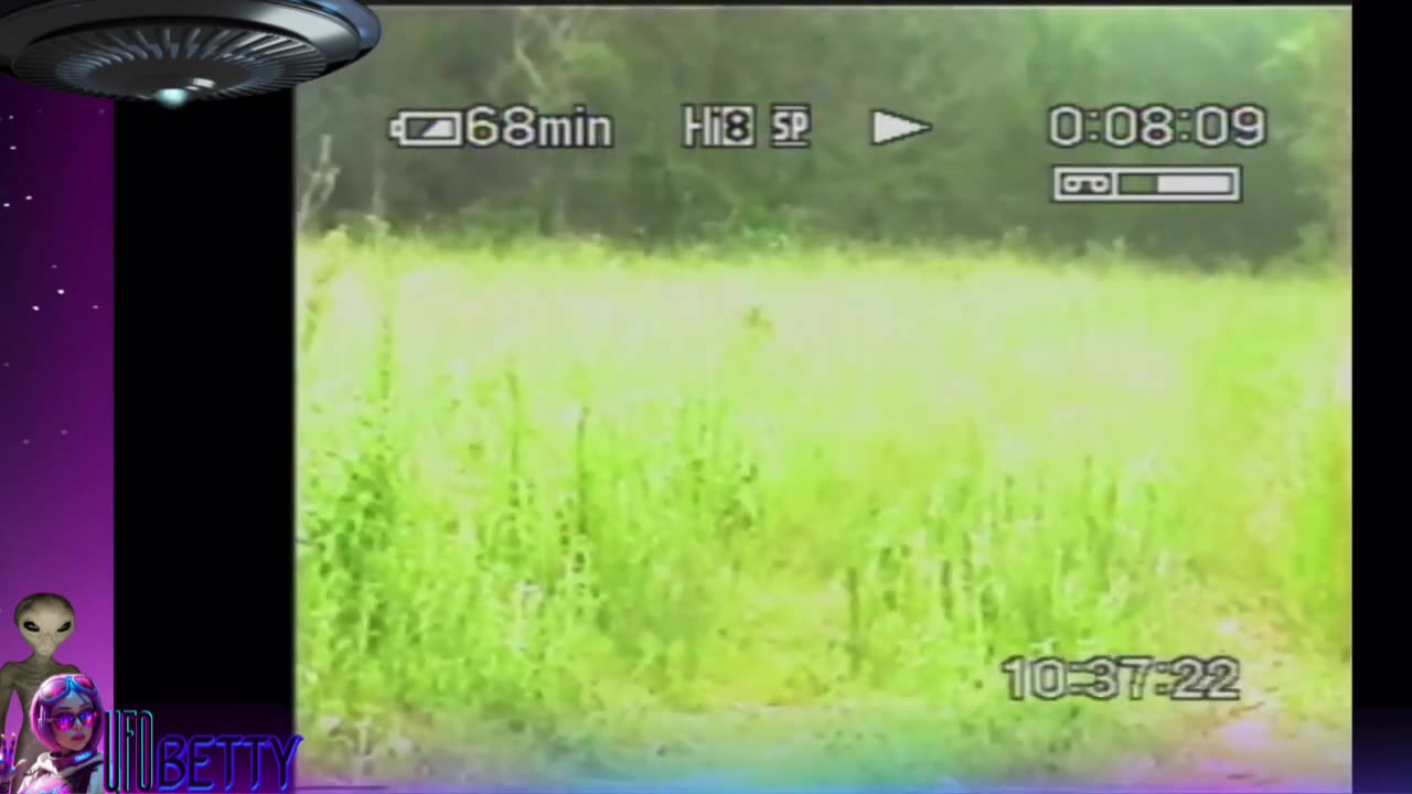 2001, Man Stalked by Unknown Creature - Mantis Alien?