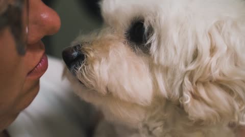 Adorable puppies love cutest ever 🐕dog