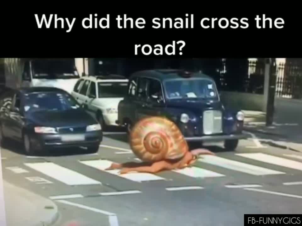 A man in snail🐌 costume crossing a road.