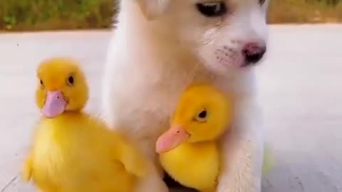Everyone is enjoying