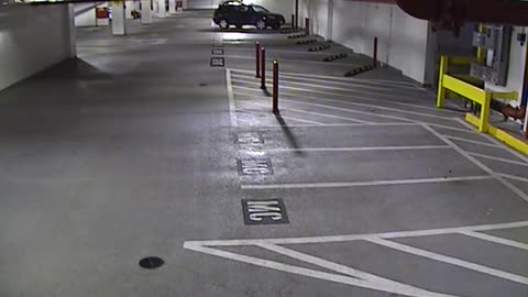 6120RHOBG2G204ALobby4Entrance_2021-01-05_22h40min03s430ms.mp4