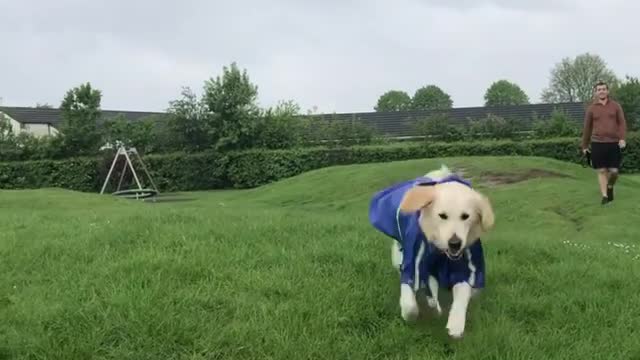 Playing with my dog in the rain.