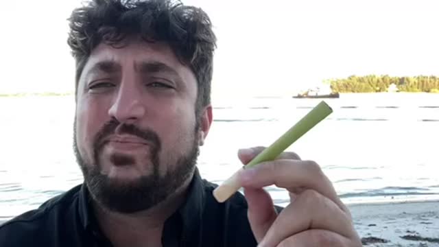 Bee Tie Chi & Hemp Rillos Mellows Out Energy