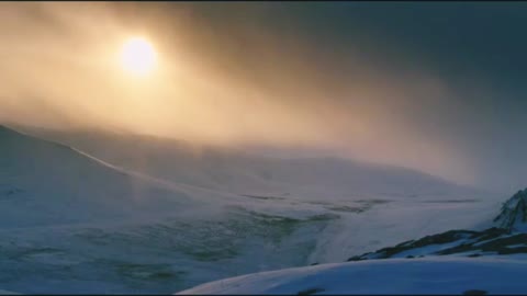 Relaxing music for sleeping|calm,meditation|feeling souls.