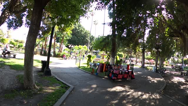 I remember the "CARAVAN"