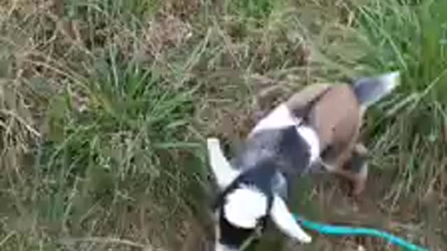 The Kid Named Bailey