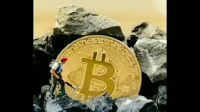 Daily articles about cryptocurrency.