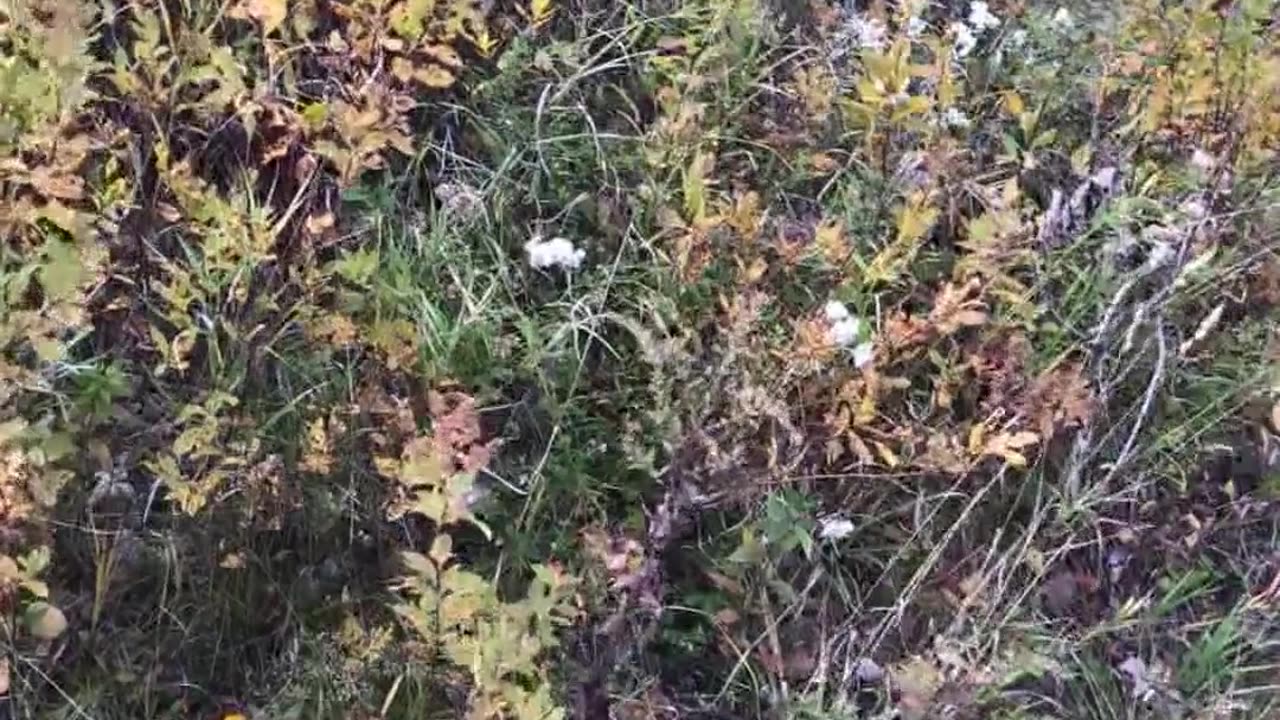 outdoords