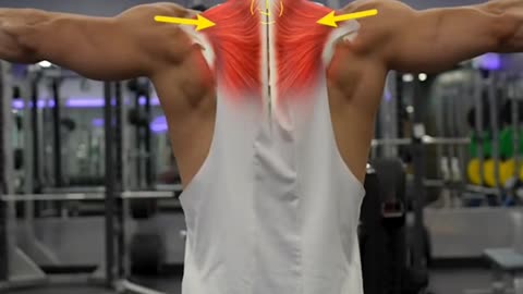 Stop Doing This On The Lateral Raise