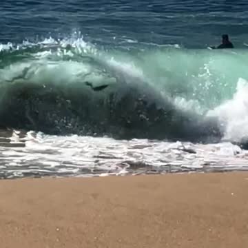 Red boogie board accidentally rides waves into beach faceplants