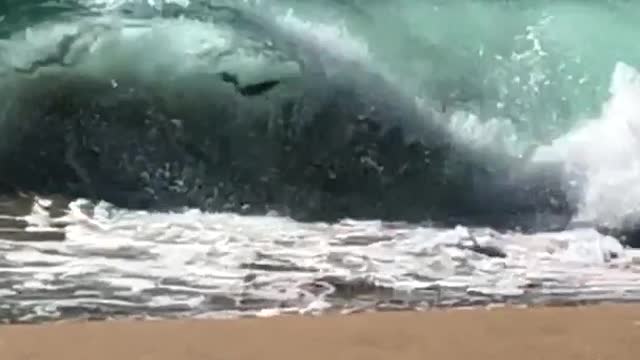 Red boogie board accidentally rides waves into beach faceplants