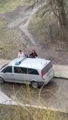 🚨WATCH: Another episode of "mobilization" in the Ukrainian Uzhgorod #new