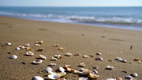 Feel the beautiful nature of the beach.