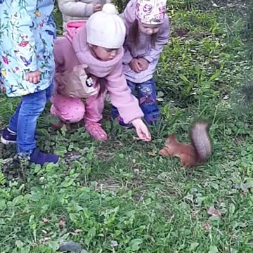 Children feed a squirrel in the park.