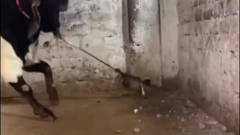 Power