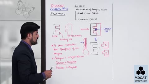 LEC#2 MECHANISM OF ENZYME ACTION