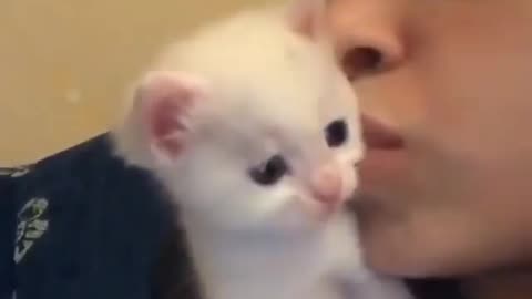 Cat love with women